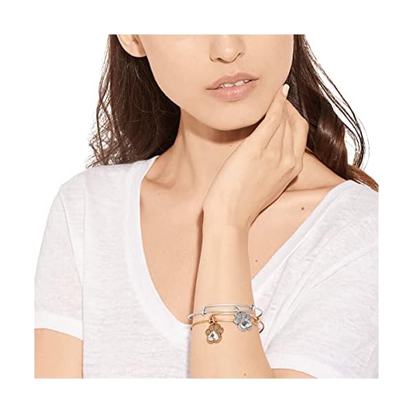 Alex and Ani Prints of Love Expandable Rafaelian Silver Bangle Bracelet