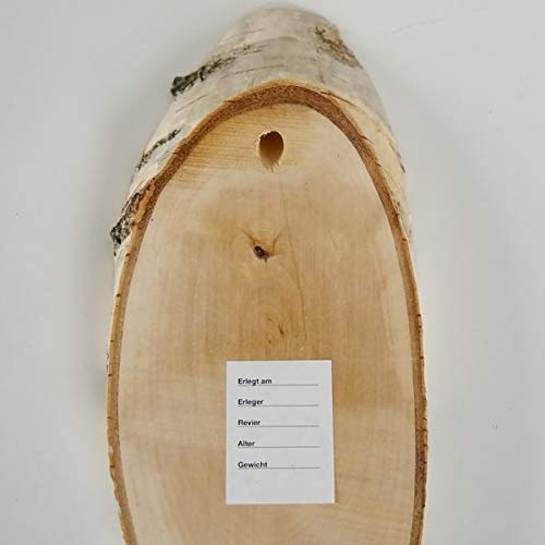 GTK - Geweihe & Trophäen KRUMHOLZ 10 Unidades de Abedul Carteles trofeos REH Grande Cervatillo cornamental Disco de árbol Madera Natural Moderno