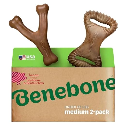 Benebone 2-Pack Wishbone/Dental Durable Dog Chew Toys, Real Bacon, Made in USA, Medium
