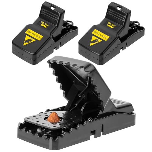 Mr. Pen Mouse Traps Indoor for Home 3 Pack