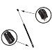 Qty (2) StrongArm 6611 Rear Window Glass Gas Lift Supports Struts Springs