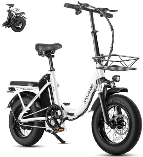 ItStands 2000W/800W Adult Fat-Tire Electric Bike - 48V 30AH/15AH Up to 30MPH Fast Step-Thru ebike for Adults-Women-Teens, Long Range Urban Electric Bicycles for Commute Beach Snow