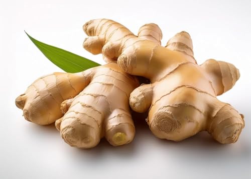 Fresh Ginger Root for Cooking, Juicing, and Tea by Nine Shani (2 lb)