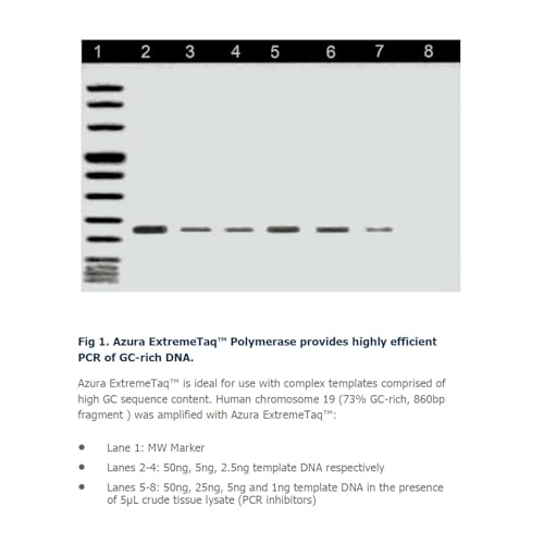 ExtremeTaq™ HiFi Mix 200 Reactions / 2 x 1.25 mL