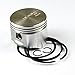 Briggs & Stratton OEM 498586 Piston Assy-020