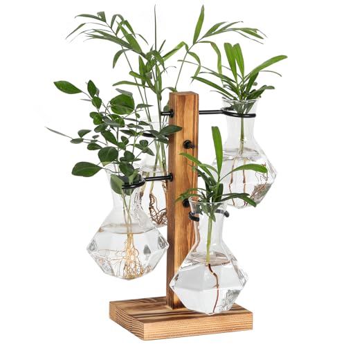 PAG-Mass Kit de terrários para plantadores, suporte hidropônico de mesa, estação de propagação de pl
