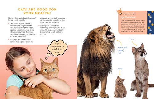 A Kid's Guide to Cats: How to Train, Care For, and Play and Communicate with Your Amazing Pet!