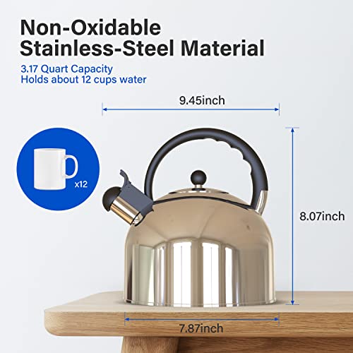Stainless Steel Whistling Tea Kettle, 3.17 Quart, Teapot For Stove Top With Wide Mouth, Easy Pouring Spout And Ergonomic Handle, Silver #TOP6