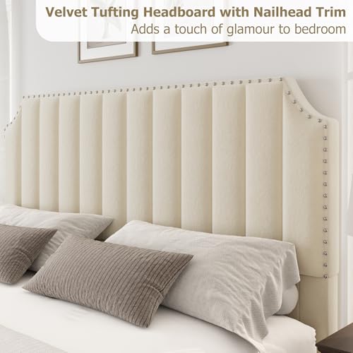 GarveeHome King Size Platform Bed Frame with 50.2 in Headboard, Velvet Upholstered Bed Frame with Vertical Channel Tufted Headboard & Footboard, Nailhead Trim, No Box Spring Needed, Cream by GarveeHome - Image 4