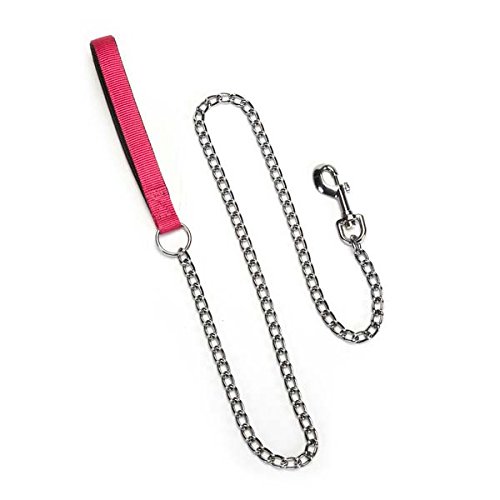 Guardian Gear Chain Link Dog Lead, 4-Millimeter, Bluebird