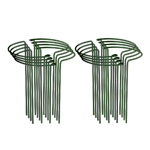 Albert Austin Pack of 8 Plant Supports for Garden Metal Frame Plant Support Stakes Easy to Install Protects Plant Stems Flower Supports for Plants Outdoor Vegetable Tomato Rose Hydrangea (25 x 40cm)