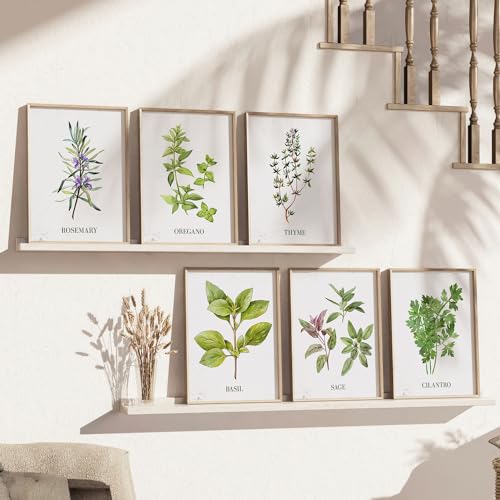Image of kotart Kitchen Herbs Digital Painting for Restaurant Dinning Room Wall Decoration - Minimal Cooking Herbs Wall Art Prints for Kitchen Decor (13X17 INCH, D) Pack of 6