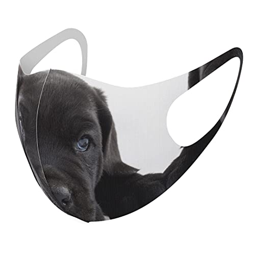 [X}R] fUC }XN QZbg |GXe 􂦂 z}XN XLTCY 傫 jp 000127   t`uhbN _bNXtg