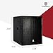 PRORECK SP-18X Active Powered PA DJ Subwoofer Cabinet 18 inch 3000W P.M.P.O with Class-D Amplifier, 3 DSP Presets-Monitor, Coil Bass Reinforcement, Black, for Wedding, Party, Concert, Church (One Sub)