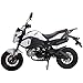 X-PRO 125cc Motorcycle Bike Dirt Bike 125cc Gas Motorcycle Bike Street Bike Adults Dirt Bike Dirtbike,White