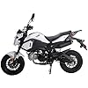 X-PRO 125cc Vader Adult Motorcycle ...