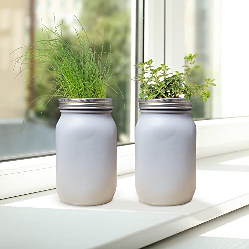 Hydroponic Mason Jar Starter Kit (10-Piece Set); w/Painted Mason Jars, Net Pots, Rockwool, Clay Pebbles and Instructions - Image 5