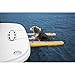 SOLSTICE Inflatable Pup Plank, Dog Water Ramp for Boats & Docks, Mini, 30 lb Capacity - Floating Platform for Pets for Lake, River, Beach & Swimming Pool, Includes Pump, Patent-Protected Design