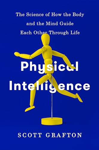 Physical Intelligence view 2