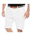 IZOD Men's Big and Tall Solid Saltwater Flat Front Short