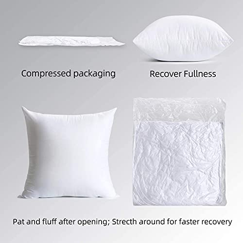 Image of Microfiber Cushion Filler,Sofa Cushions Set,Sofa Pillow, Cushions for Bed, 18 x 18 Inch, White - (Set of 5)