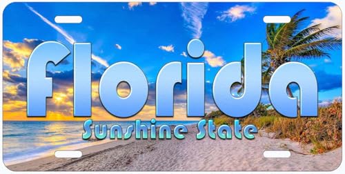 Florida Sunshine State Novelty Car Auto License Plate