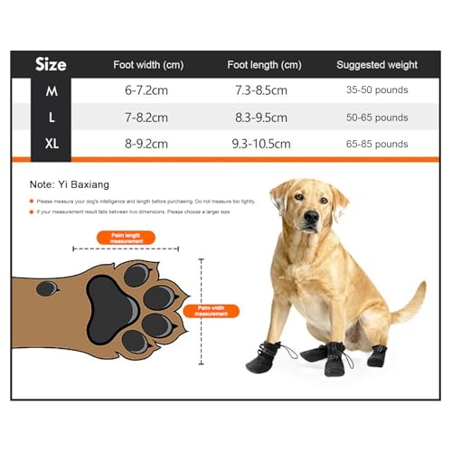 Chaussures pour chiens contre les sols glissants et blessures