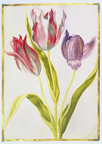 Tableau toile tulipes pour habiller un grand mur vide 60x90