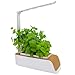 Produktbild EcoDive Smart Garden | Indoor Gewächsstation für den Küche Kräutergarten| Home Gewächshaus für Ihre Fensterbank Innen | Smart Home Herb Garden | Aerogarden mit Click LED Licht als Hydroponic System