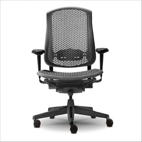 Herman Miller Celle Fully Adjustable Home Office Task Desk Chair - Graphite
