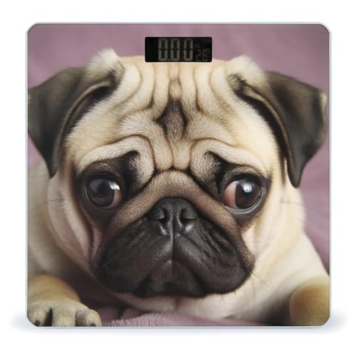 Báscula digital para baño Pug vidrio templado LCD