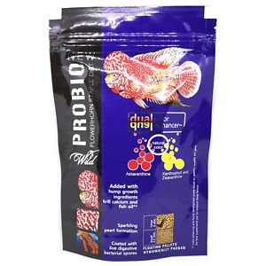 Fish Pro Bio WILD ProBio - Flower Horn Staple Diet | 100g | Aquarium FIsh Food ...
