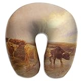 Almohada en Forma de U, Cuello, Viaje de Ganado de Las Tierras Altas, Almohada Multifuncional, Coche, avión