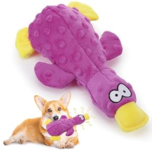 Halinuia Plüsch Schnabeltier Hundespielzeug Lila