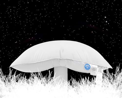 Canadian Goose Down Pillows King Size 80% Goose Down and 20% Goose Feathers, 1940+ Fill Power White...