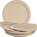 Pro-Grade, Biodegradable 10 Inch Plates. Bulk 200 Pack Great for Lunch, Dinner Parties and Potlucks. Disposable, Compostable Wheatstraw Paper Alternative. Sturdy, Soakproof and Microwave Safe