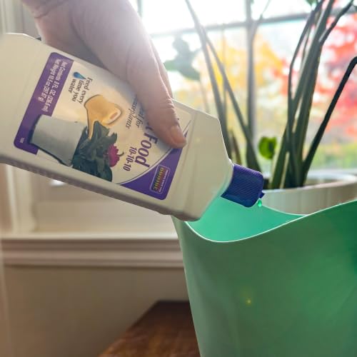 Bonide Houseplant Liquid Plant Food 10-10-10, 8 oz Concentrated Fertilizer for Indoors, Use Every Time You Water - image 3