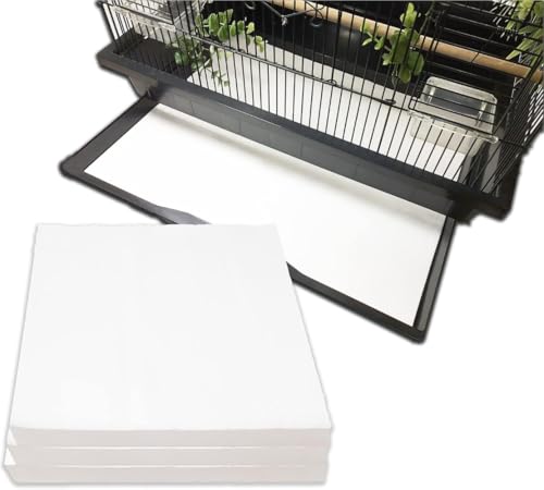 100 pV[c V hV[c o[h}bg Q[W P[W  P[W Ƃ肩 CR P[W o[hoX CR  CR   CR  gCƃy[p[ ̉a o[heg ̃t N[i[(54*