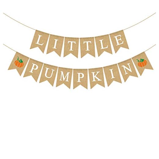 Jute Burlap Little Pumpkin Banner Fall Baby Shower Gender Reveal Birthday Party Garland Decoration