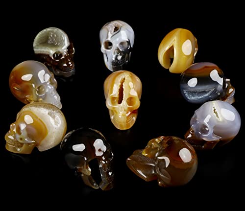 Calavera de Cristal Ágata Geoda 2.0 pulg miniatura 4
