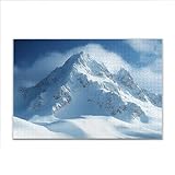 Défi familial : Les puzzles aident non seulement à améliorer la concentration et la patience, mais favorisent également l'interaction parent-enfant et le développement intellectuel des enfants. Ils retardent le déclin cognitif chez les personnes âgées et permettent à toute la famille de participer au jeu, renforçant ainsi les liens familiaux