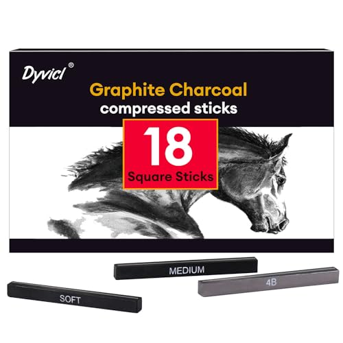Dyvicl Compressed Graphite Charcoal Drawing Set (18 Pack)