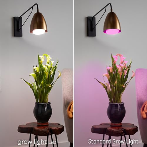 Mejores precios y opiniones de Focos led cultivo los preferidos por los clientes. 8 Imagen adicional