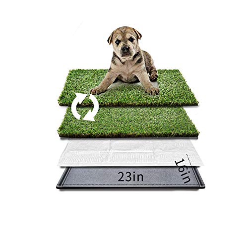 Small Dog Litter Box Toilet with Tray and Grass Pad from HQ4us