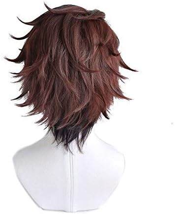 Anime Cosplay wig for Demon Slayer: Kimetsu no Yaiba Characters Play Cosplay Wigs with Free Wig Cap (Kamado Tanjirou)