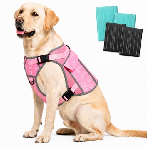 SAVIOR COOL Ice Pack Harness