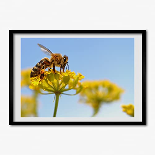 Peinture 70x50 cm Tulup haut de gamme avec cadre en bois robuste et affiche moderne haute netteté