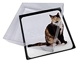Abmessungen: 90 x 90mm (quadratisch) jeder.