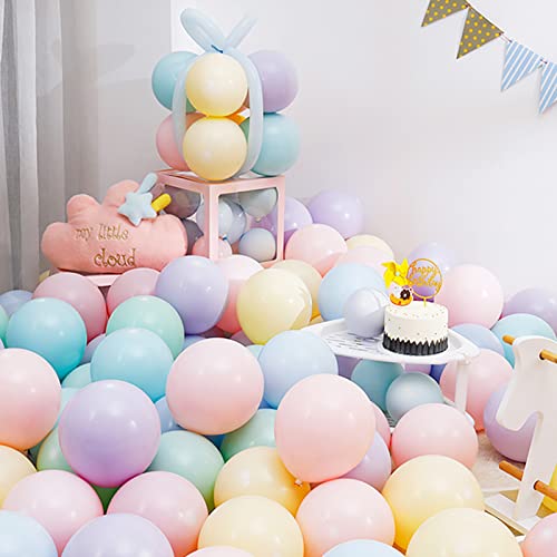 BTZO o[ D 100 12C` Eh }JJ[ SD pXe}bg t a  Xܑ p[eB[ ^  o[A[g ~bNX