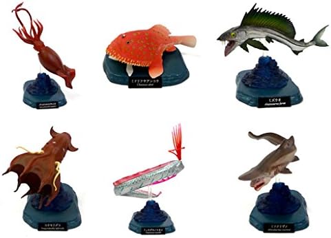 Amazon Co Jp 水族館限定 海洋堂 水族館フィギュアコレクション 深海生物 特別版 コレクション台座付 日本の水族館 全6種コンプリートセット ホビー 通販